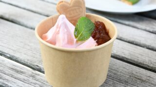 環境に優しいアイスクリームカップの選び方